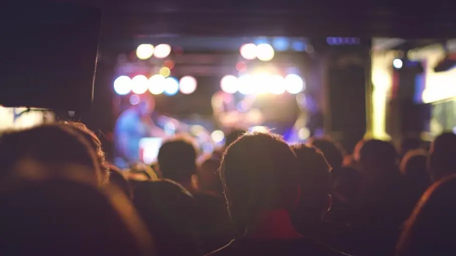 Público em um show