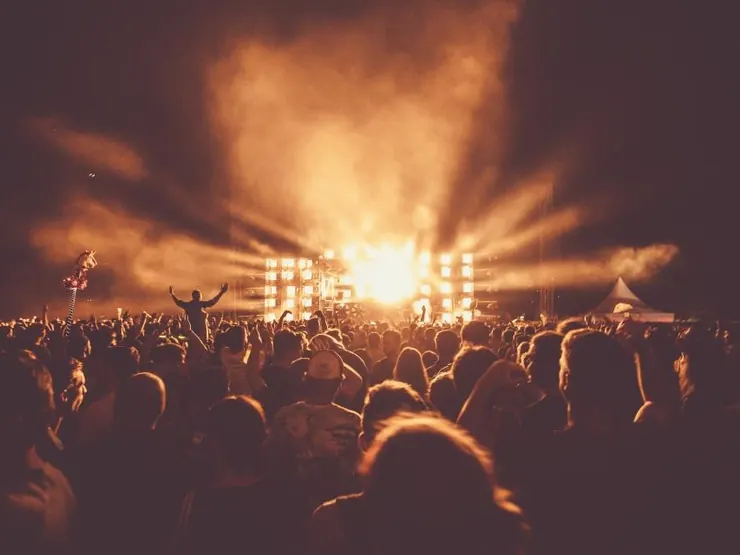 Público em um show