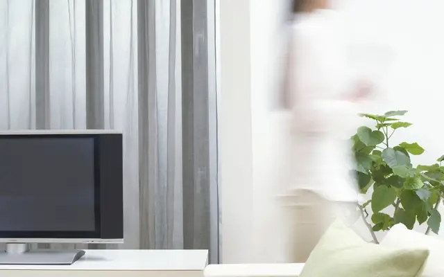 Televisão em ambiente iluminado com planta